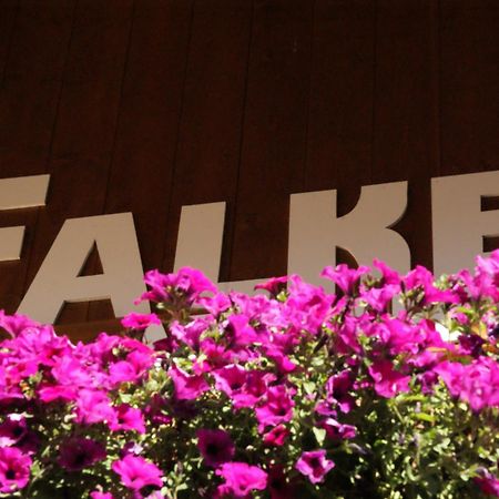 Haus Falke เซิลเดน ภายนอก รูปภาพ