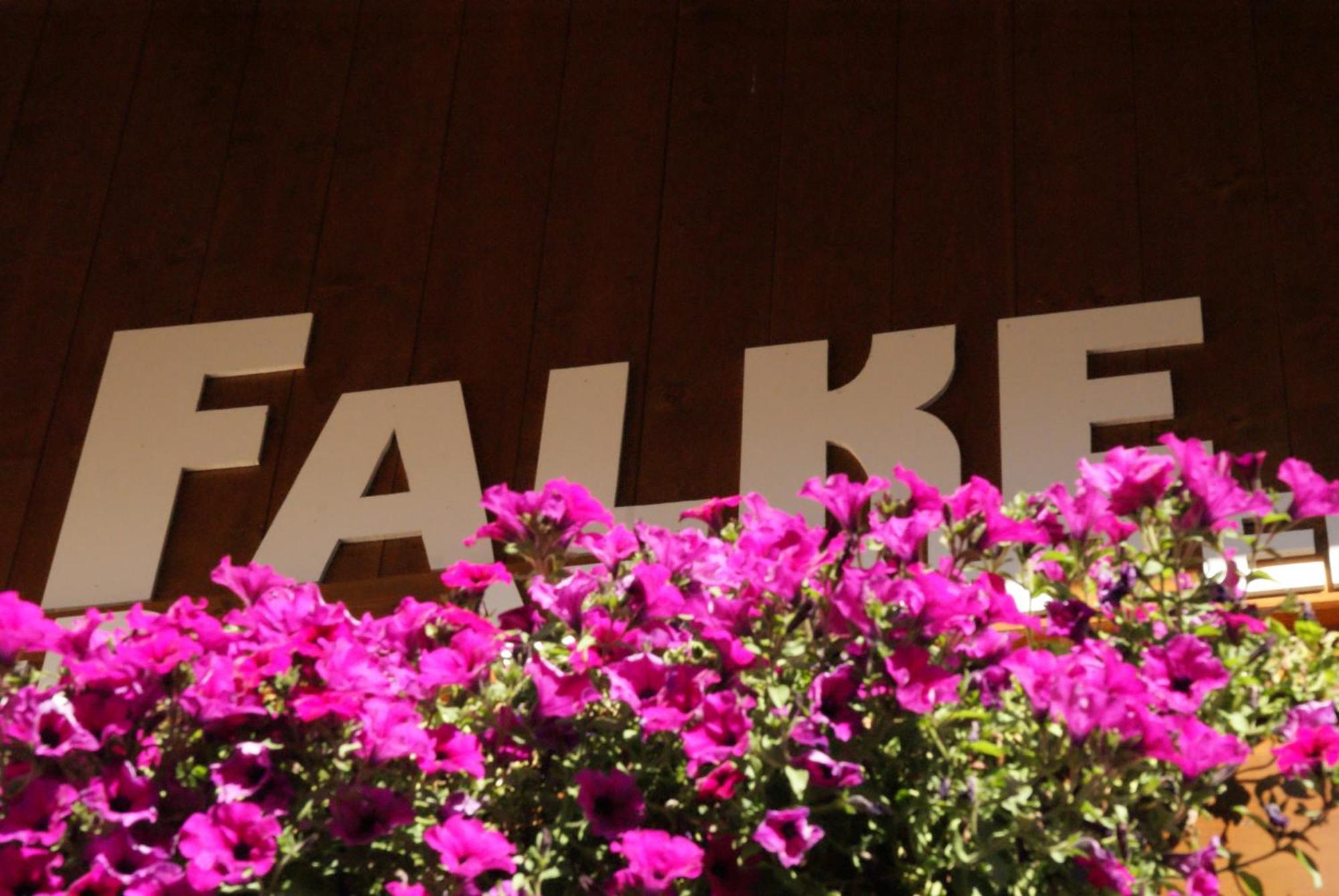 Haus Falke เซิลเดน ภายนอก รูปภาพ